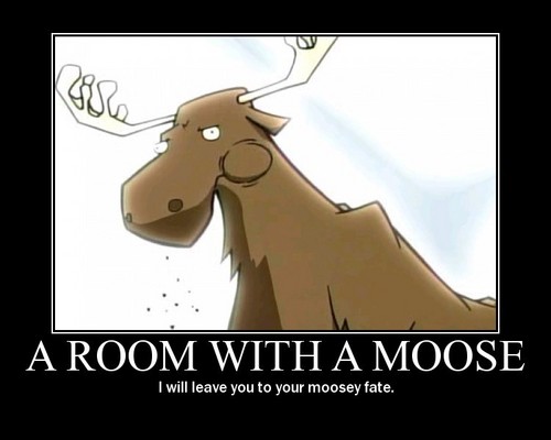  A Room Wth a Moose