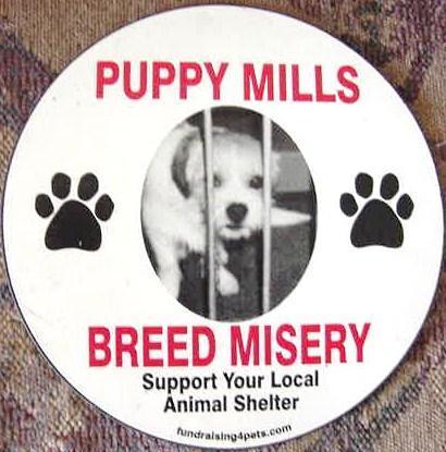  Ban puppy Mills !