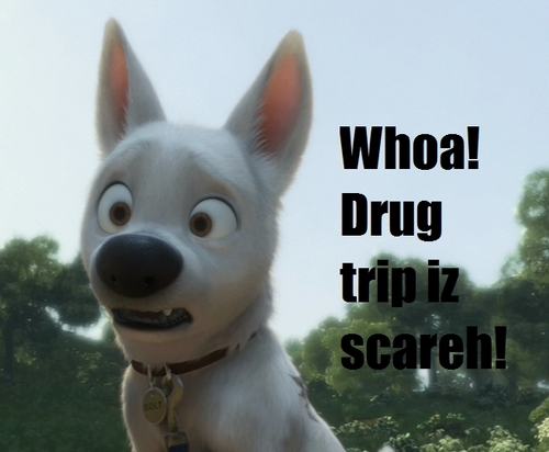  Drug Trip is Scareh