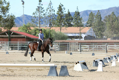  Leona Riding A Horse!