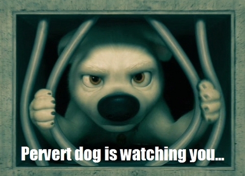  Pervert Dog