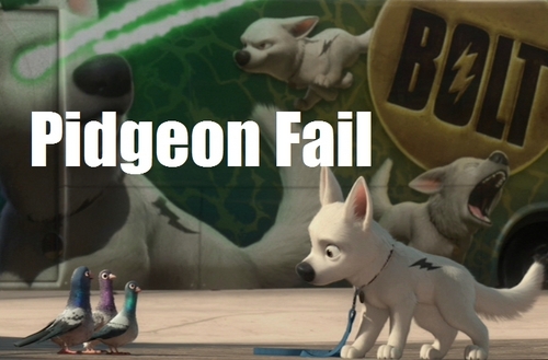  Pidgeon Fail