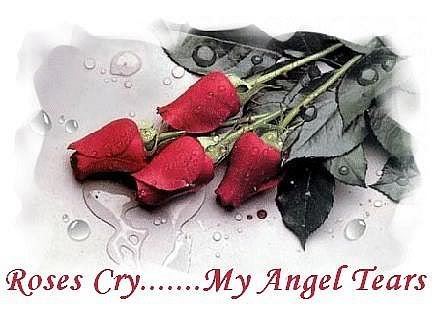  Rosen Cry My Angel – Jäger der Finsternis Tears
