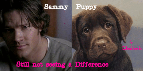 Sam=Puppy