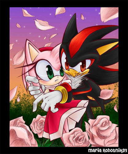  Shadow and Amy