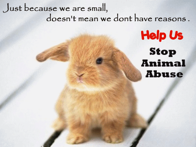 Stop animal abuse!!!