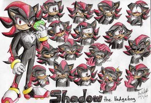  The many faces of shadow