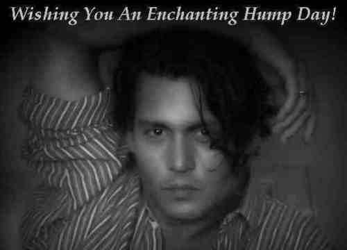 have an enchanting hump dag