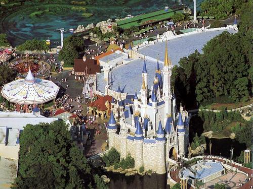  Disney World Florida