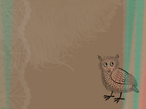  Little Owl wallpaper