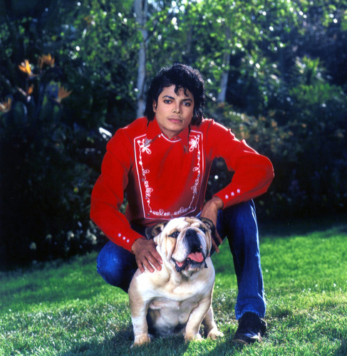  MJ And Bulldog Large