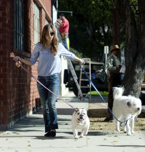 Olivia Wilde Waling Her Dogs (18/03/10)