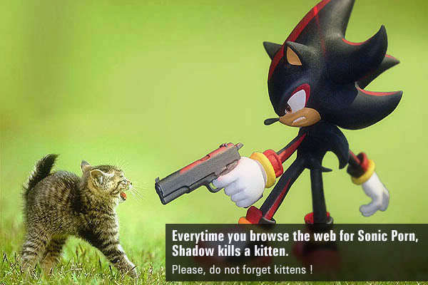 Shadow The Hedgehog Porn Within Showing Images For Shadow The Hedgehog Partners