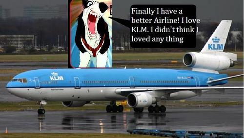  Steele and his good airline