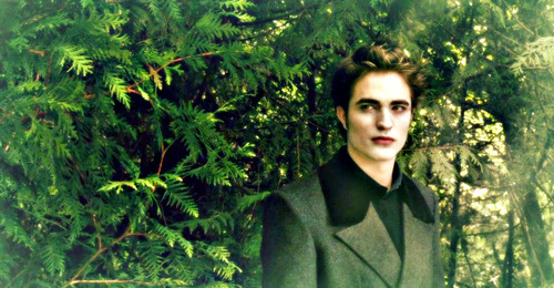  Edward*