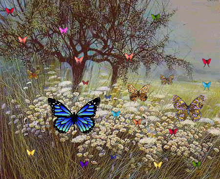  Pretty Butterflies,Animated