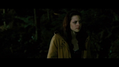  Screencaps of Bella in the woods [NewMoon]