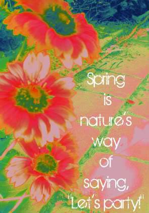  Spring is nature's way to say "Let's party" :D