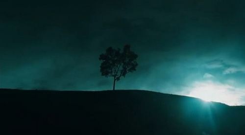  albero from "The Ring"