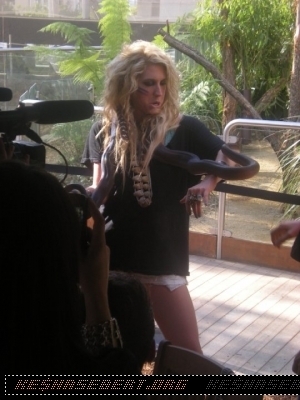  Кеша at Sydney Wildlife World at Darling Harbour in Australia - March 22