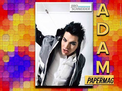  Adam Paper magazine দেওয়ালপত্র