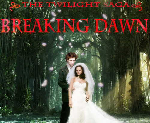  Breaking Dawn, The Wedding
