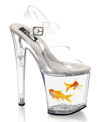  Nat the goldfish used for a shoe xO