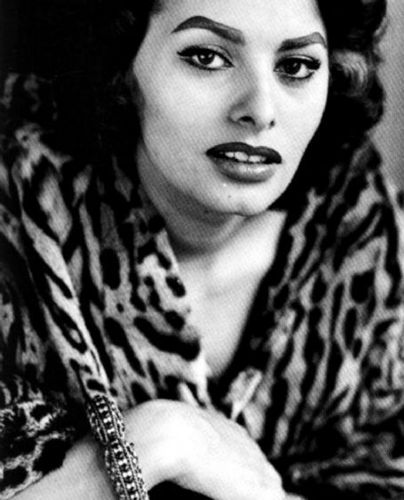 Sophia Loren - Sophia Loren Photo (9582896) - Fanpop