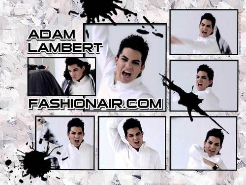 Adam Fashionair Wallpaper