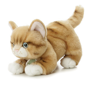  Cat Plush Stuffed