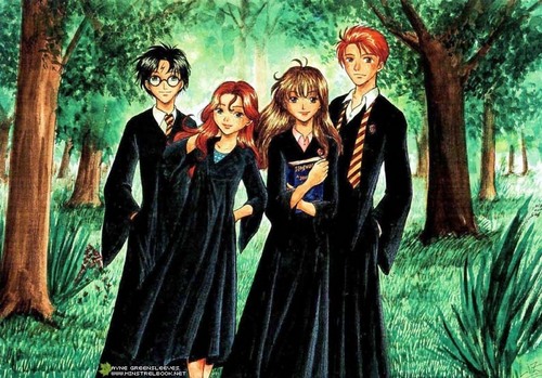 Harry Ron Ginny and Hermione