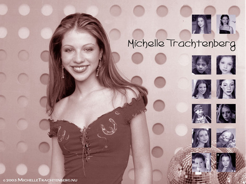  Michelle Trachtenberg