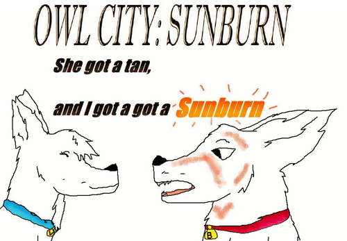  Owl City - Sunburn (bolt)