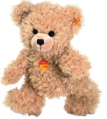  Teddy 熊