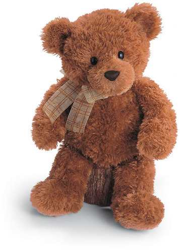  Teddy chịu, gấu