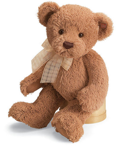  Teddy 熊