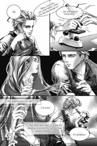  Twilight:Graphic Novel