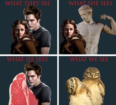  What We See