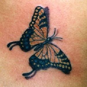  butterflies ink