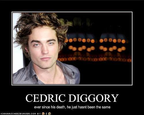  Cedric Diggory
