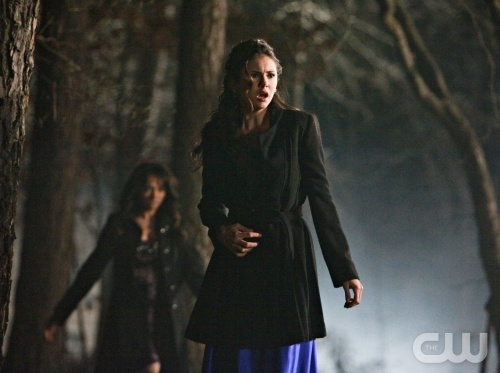  Elena & Bonnie 1x19