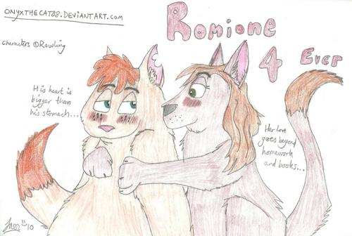  Romione（ロン＆ハーマイオニー） 4 Ever