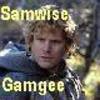  Samwise Gamgee