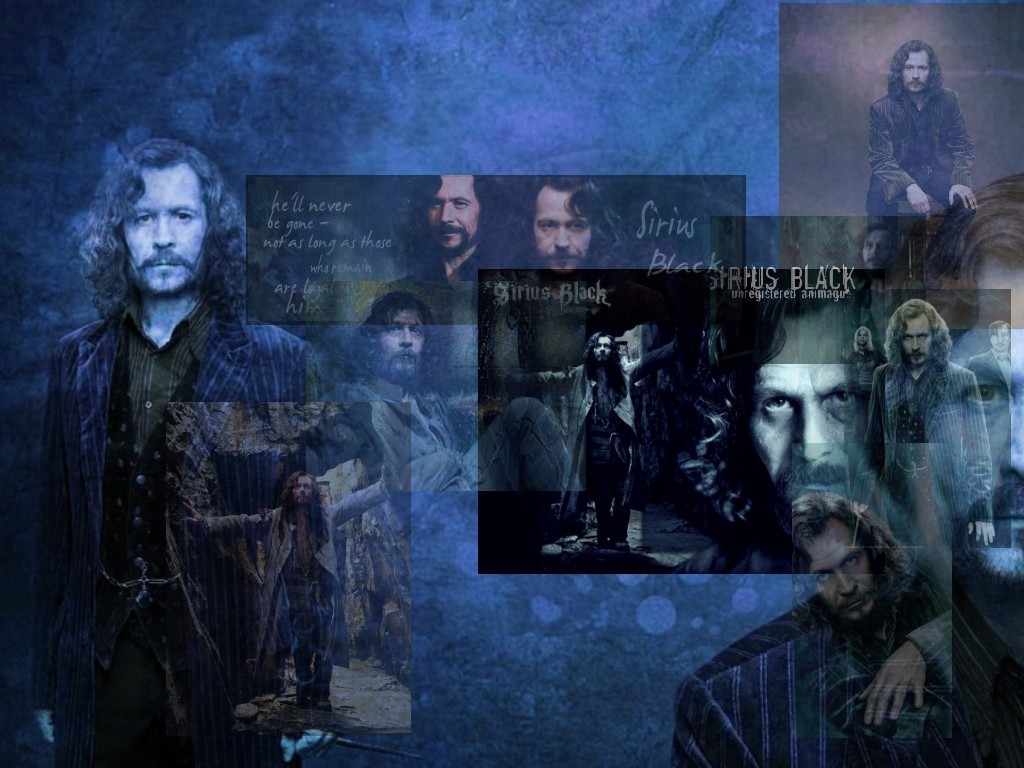 Sirius - Sirius Black Wallpaper (11369795) - Fanpop