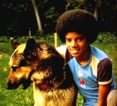  do anda like the anjing Michael??