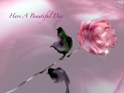  Have a Beautiful 日 !!
