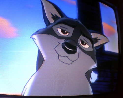  Is that thing Balto?