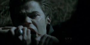  Stefan & Elena 1x17