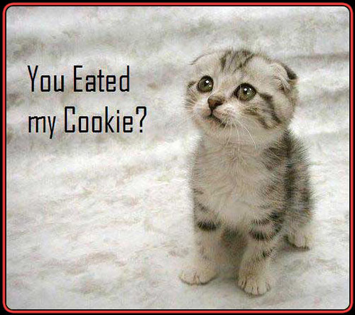  Ты Eated My Cookie?