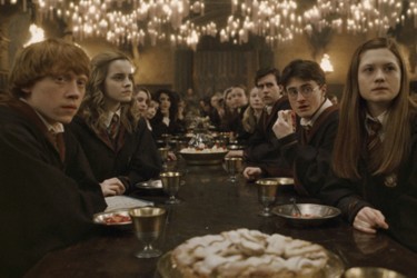 harry,hermione, ginny, ron 